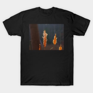 Grass Fire T-Shirt